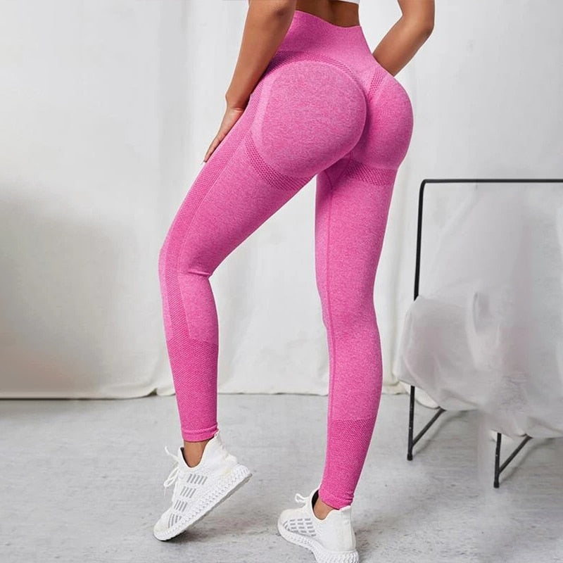 Adapt Fitness Leggings