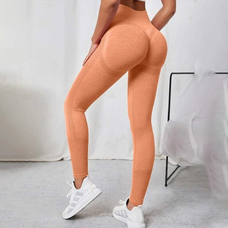 Adapt Fitness Leggings