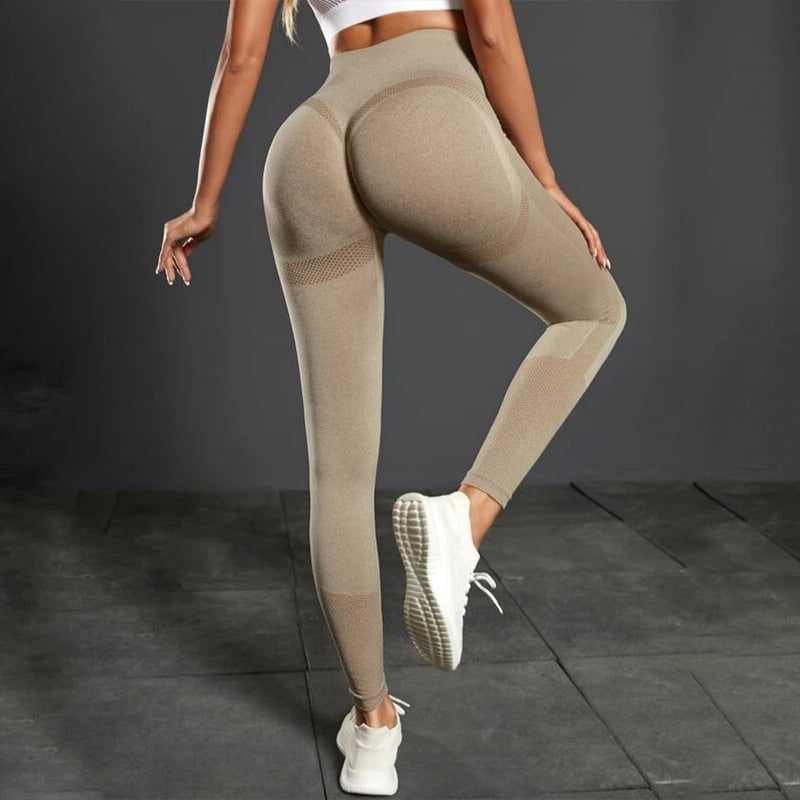 Adapt Fitness Leggings