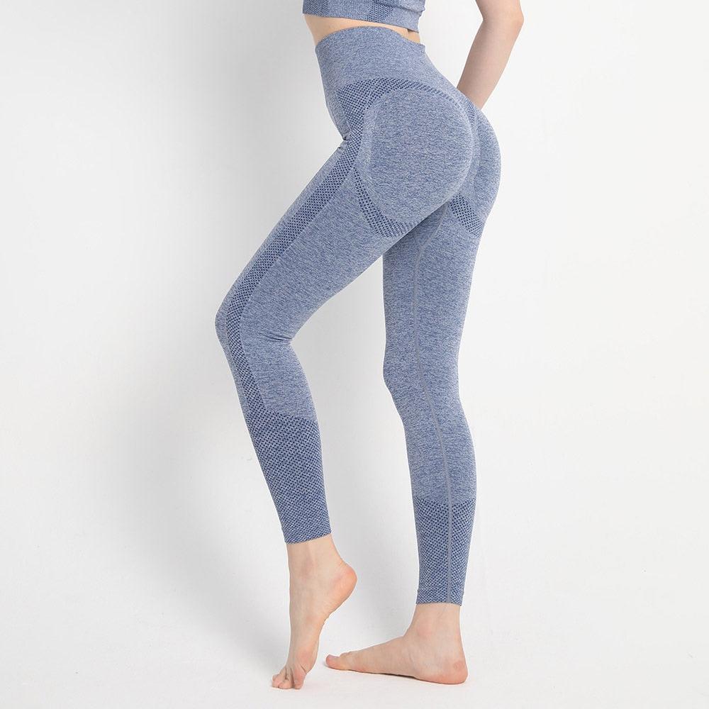 Adapt Fitness Leggings