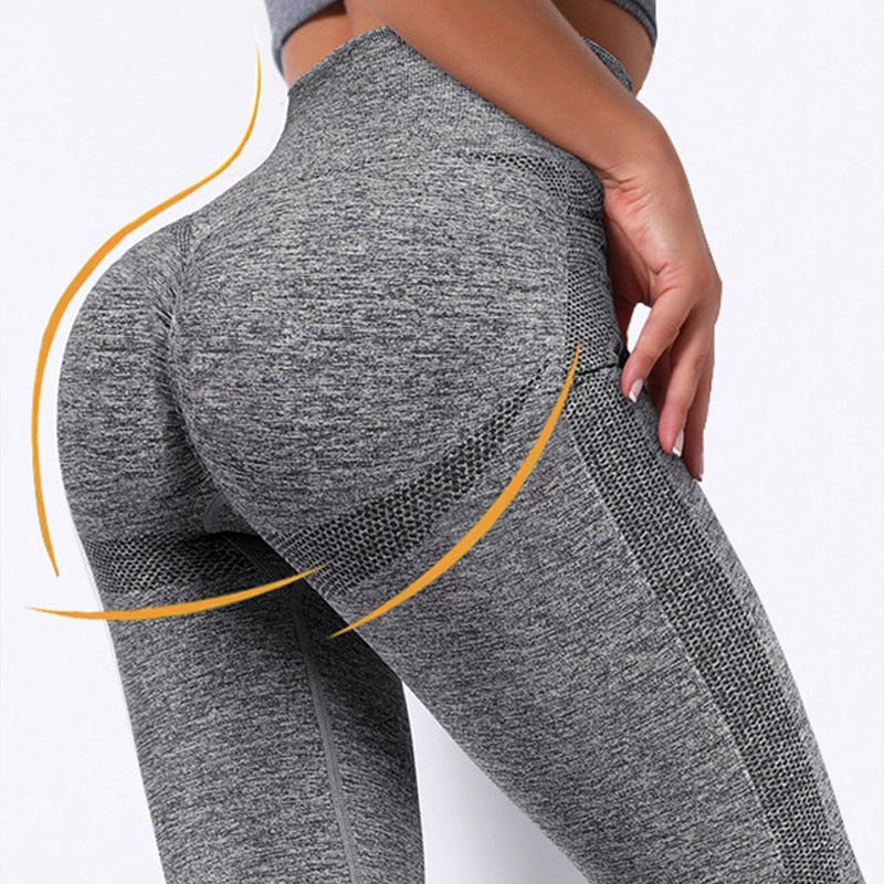 Adapt Fitness Leggings